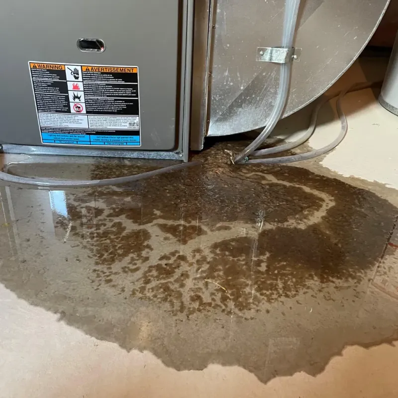 Appliance Leak Cleanup in Trenton, OH