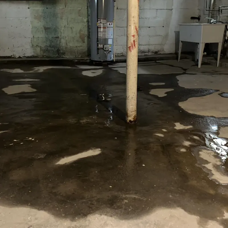 Emergency Water Extraction And Removal in Trenton, OH